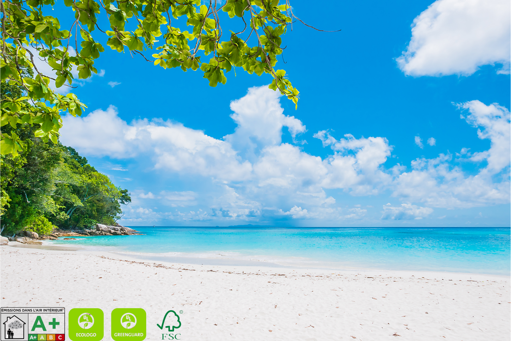 Profitez d'un air sain