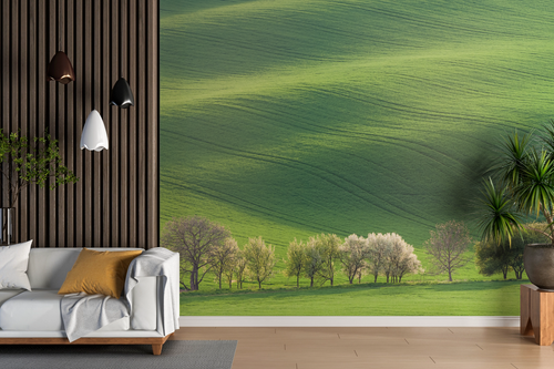 Country wallpaper - green hills