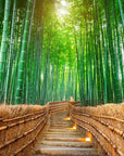 Papier peint japonais - Allée de bambous