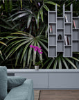 Papier Peint Feuillage - Jungle Tropicale Profonde