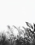 Papel tapiz tropical - Hojas negras sobre fondo blanco