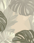 Papier peint tropical - Grandes feuilles de monstera vertes et beiges