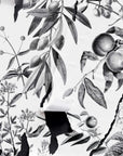 Papier peint vintage - Fruits et feuilles en noir et blanc