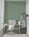 Papier peint uni - Vert pastel