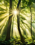 Papier Peint Paysage - Forêt Verdoyante Et Lumineuse