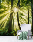 Papier Peint Paysage - Forêt Verdoyante Et Lumineuse