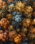 Papier Peint Paysage - Forêt Vue Du Ciel