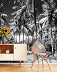 Papier Peint Tropical - Bananiers Et Cocotiers Noir Blanc