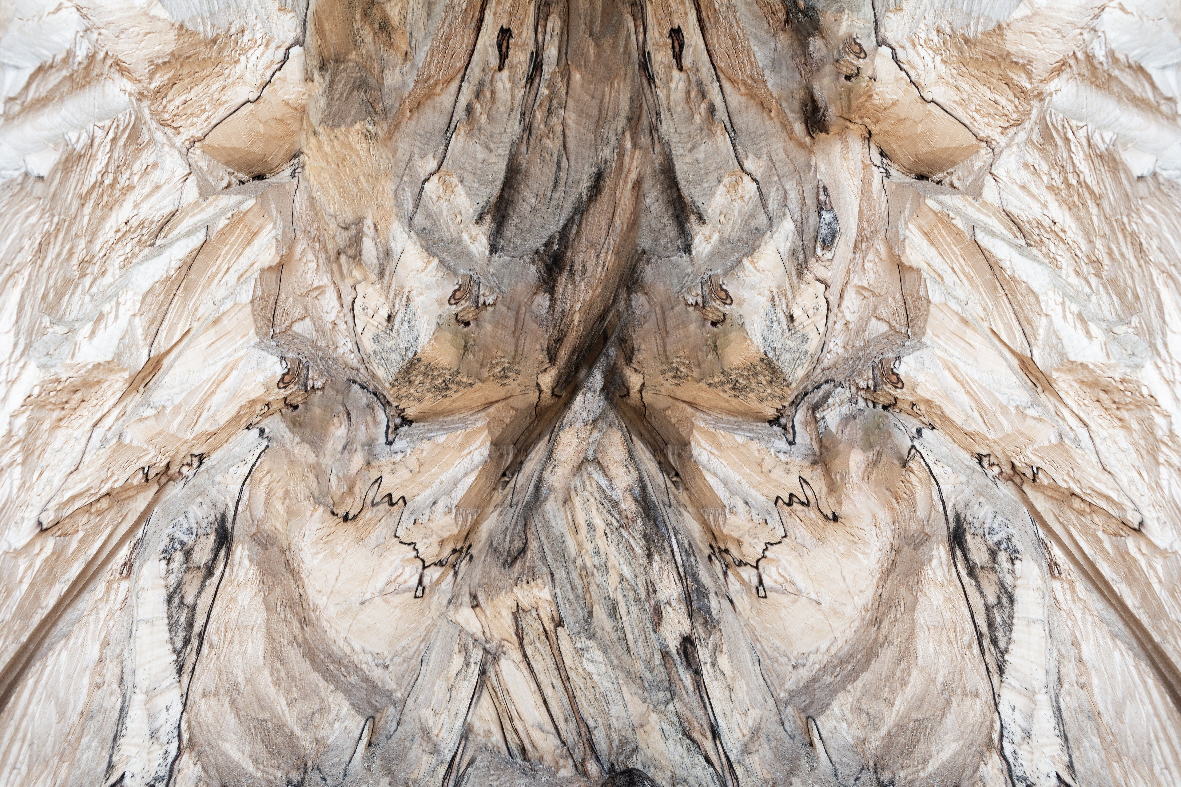 Papier Peint Entrée de Maison 2026 : Créez un Accueil Inoubliable