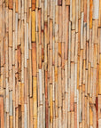 Wood Wallpaper - Bamboo Wall