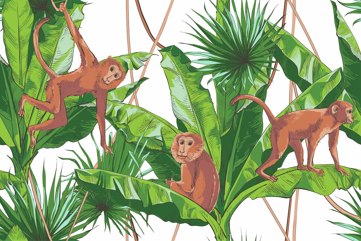 Papier Peint Animaux - Singes dans la Jungle