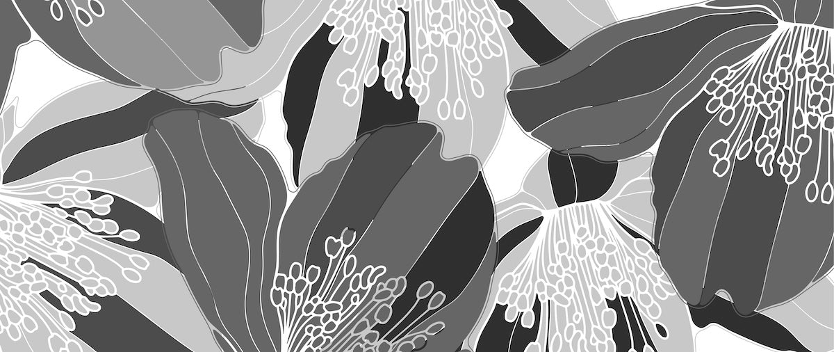 Papier peint nature - grands hibiscus en noir et blanc