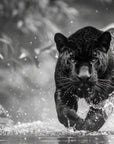 Animal Wallpaper - Black Panther in Water Black and White
