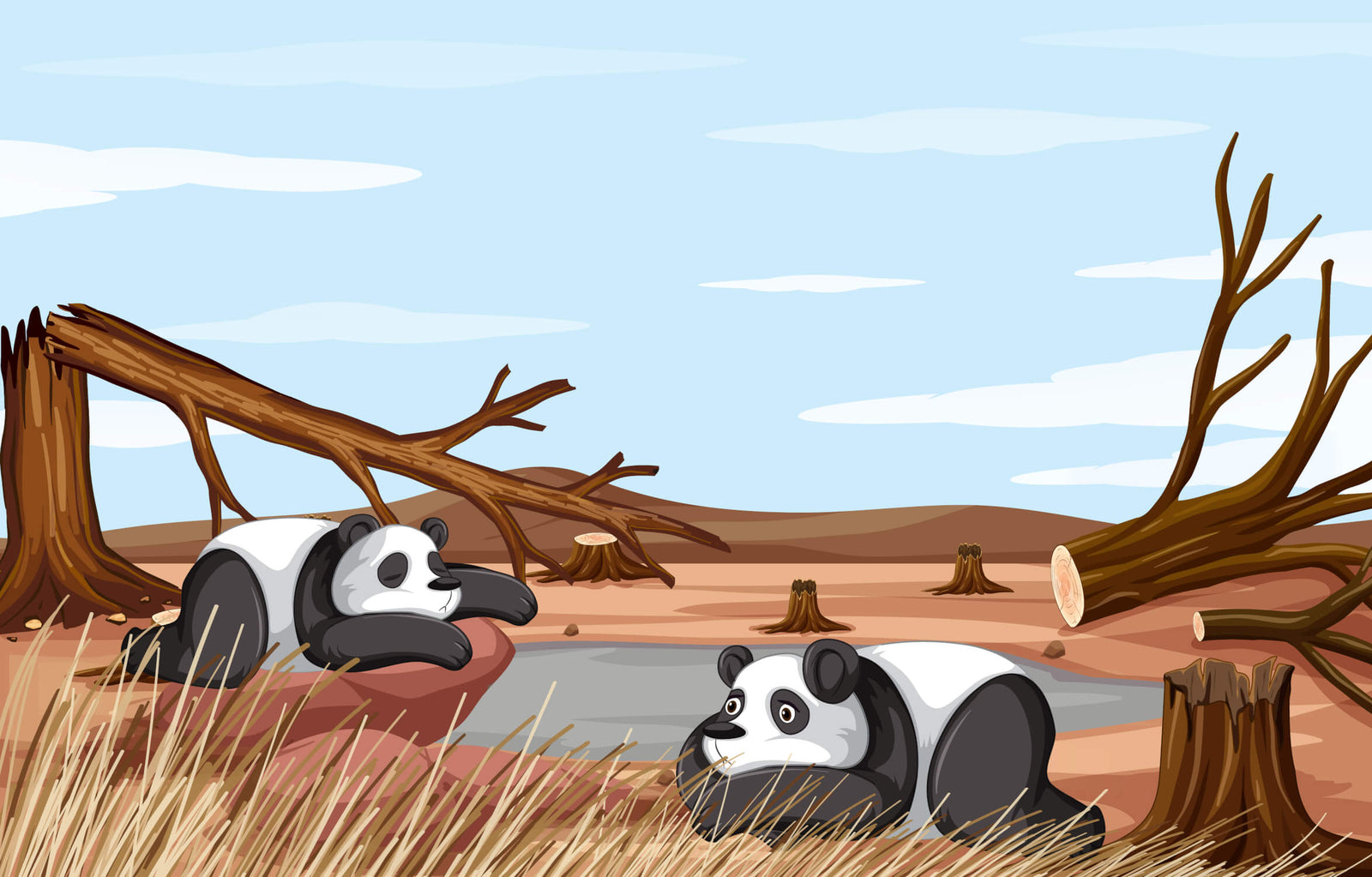 Children's Wallpaper - Playful Pandas in the Bamboo Forest