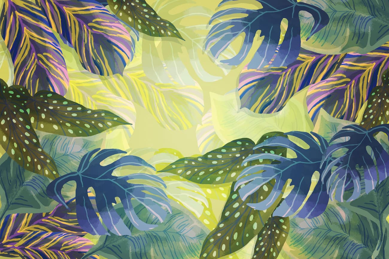 Tropical Wallpaper - Vintage Lush Forest