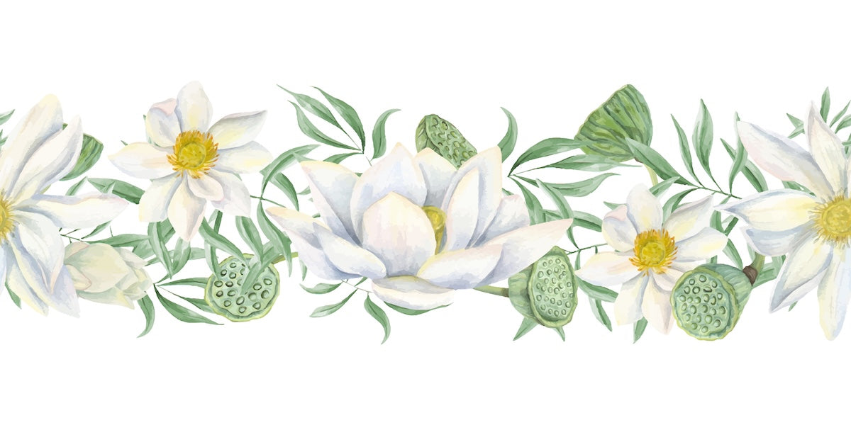 Papier peint fleuri - frise marguerites champêtres