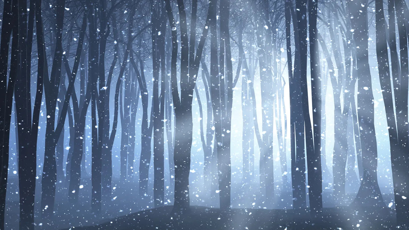Forest Wallpaper - Snowy Night