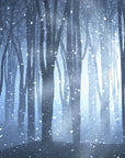 Papier Peint Forêt - Nuit Enneigée