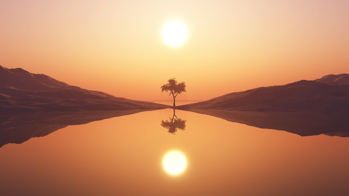 Papier Peint Paysage - Coucher De Soleil Lac Et Palmier