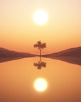 Papier Peint Paysage - Coucher De Soleil Lac Et Palmier