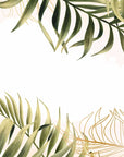 Papier Peint Illustration - Feuillage Tropical Sur Fond Blanc