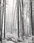 Forest Wallpaper - Black Bamboo on White Background