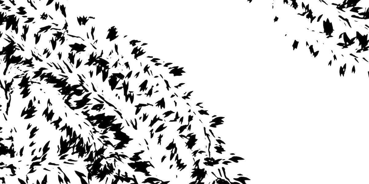 Papier peint nature - croquis d'herbes sauvages mural