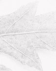 Nature wallpaper - close-up leaf texture