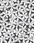 Nature wallpaper - small white flowerbed