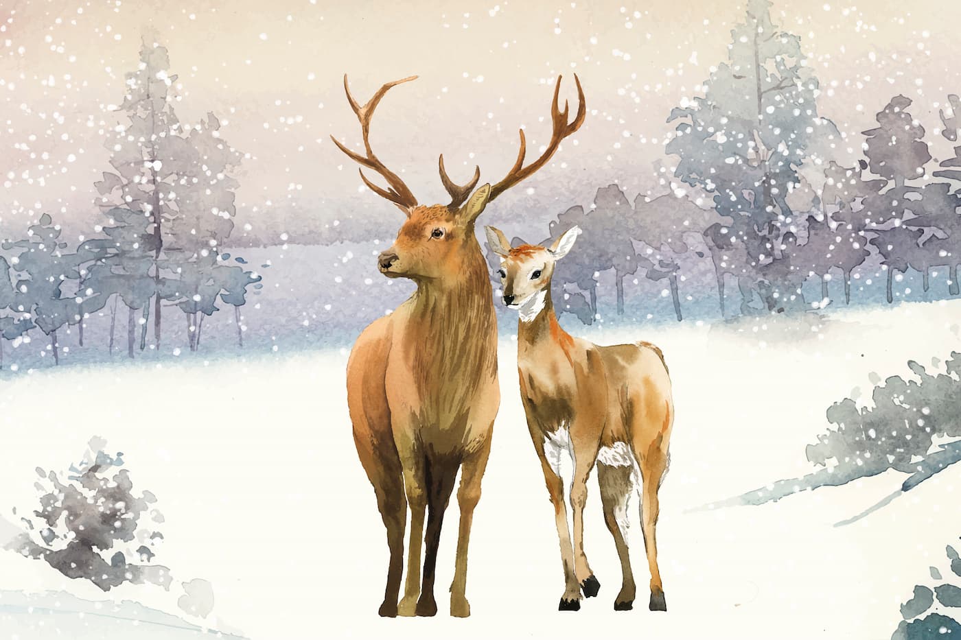 Animal Wallpaper - Deer in the Snow