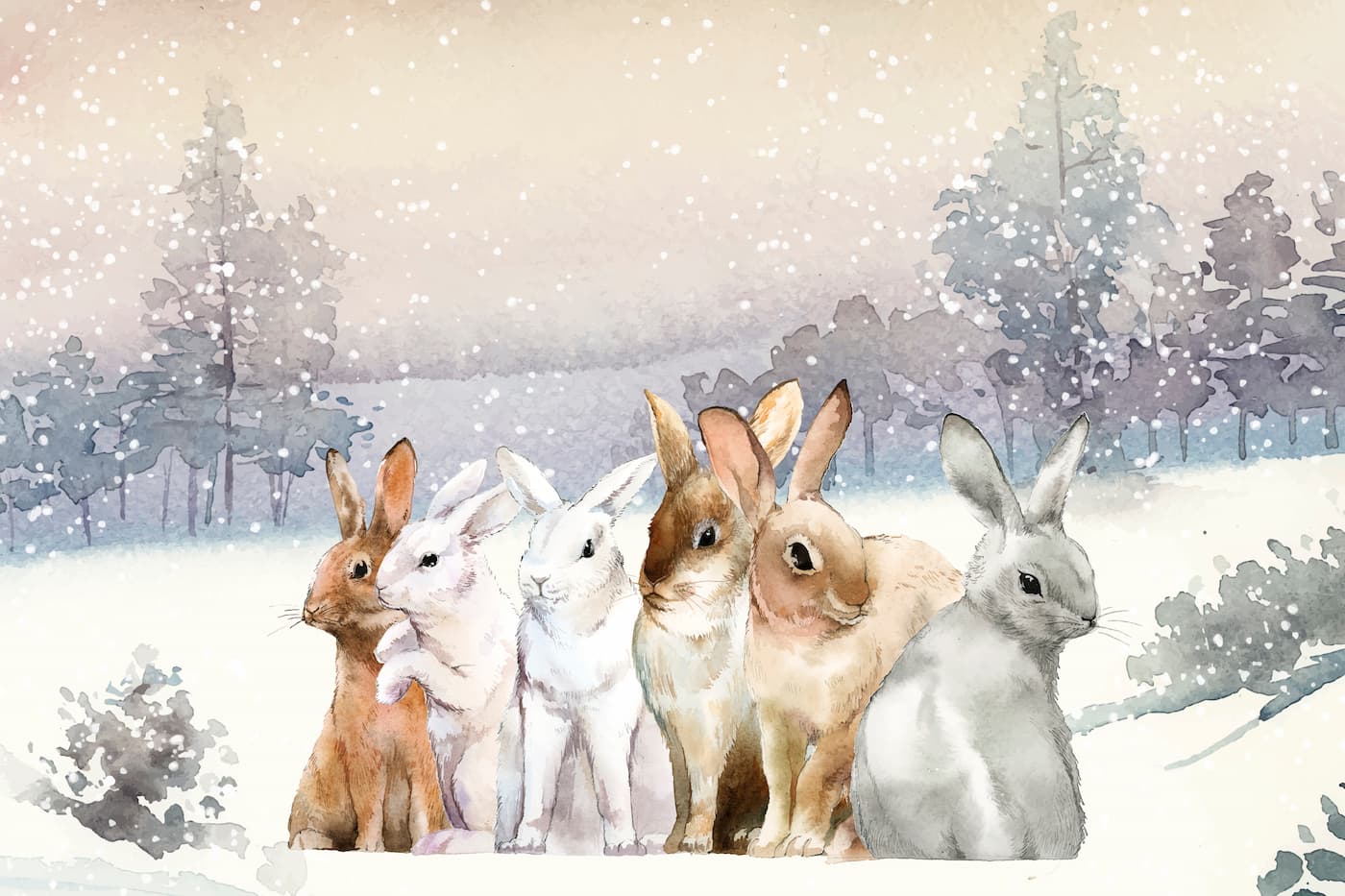 Animal Wallpaper - Rabbits in the Snow