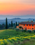 Landscape Wallpaper - Italian Villa and Cypress Trees in the Mist
