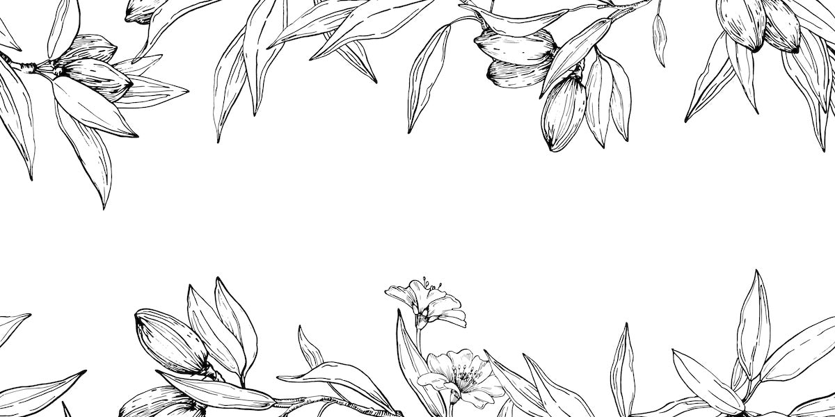 Papier peint nature - guirlande de feuilles suspendues