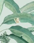 Foliage Wallpaper - Large Banana Leaves