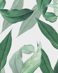 Papier Peint Feuillage - Feuilles Douces