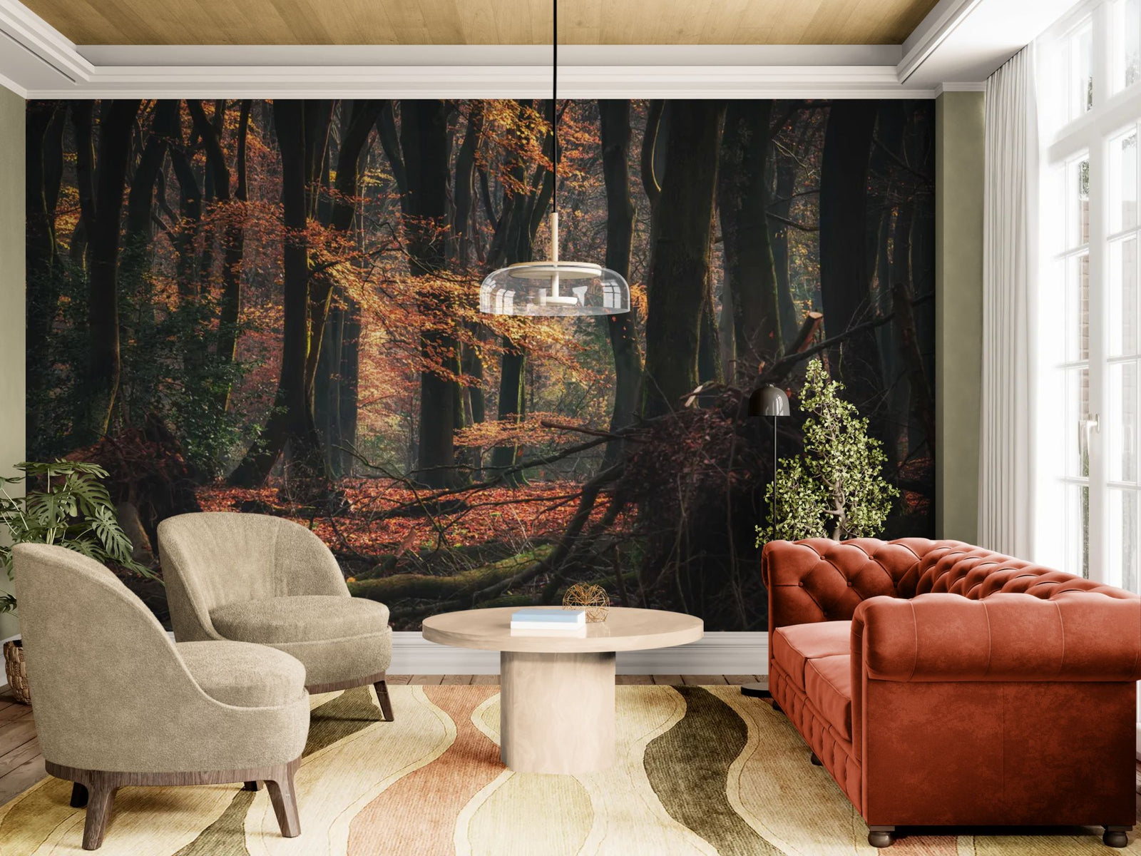 Nature wallpaper – Dark autumn forest and dead branches