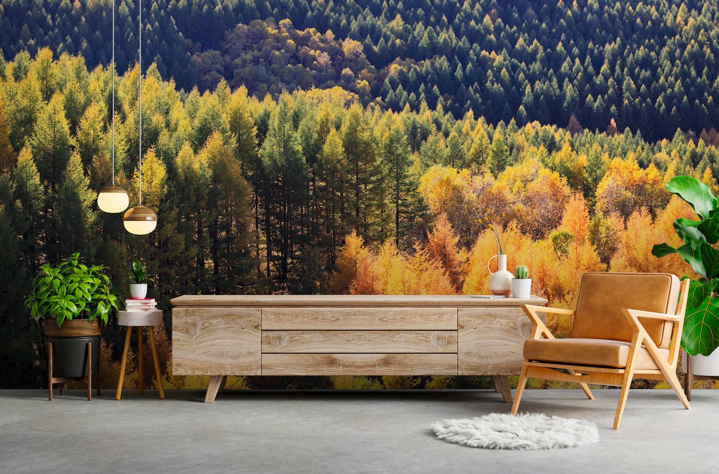 Forest Wallpaper - Fir Trees in Autumn Colors