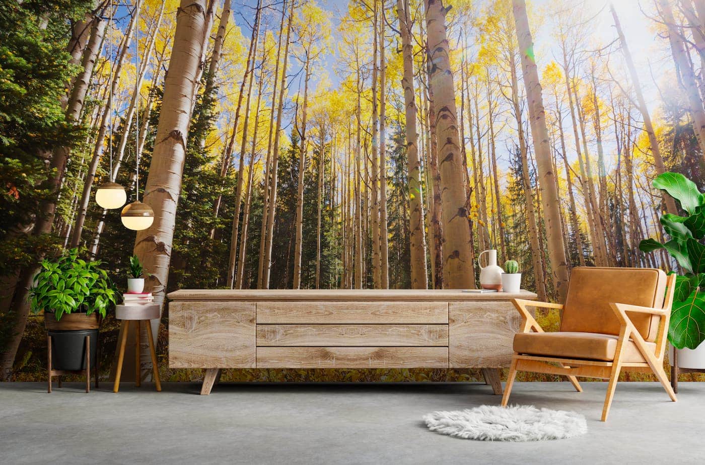 Forest Wallpaper - Autumn Light