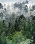 Papier Peint Forêt - Nature Profonde