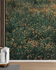 Papier peint campagne - prairie sauvage embrumée