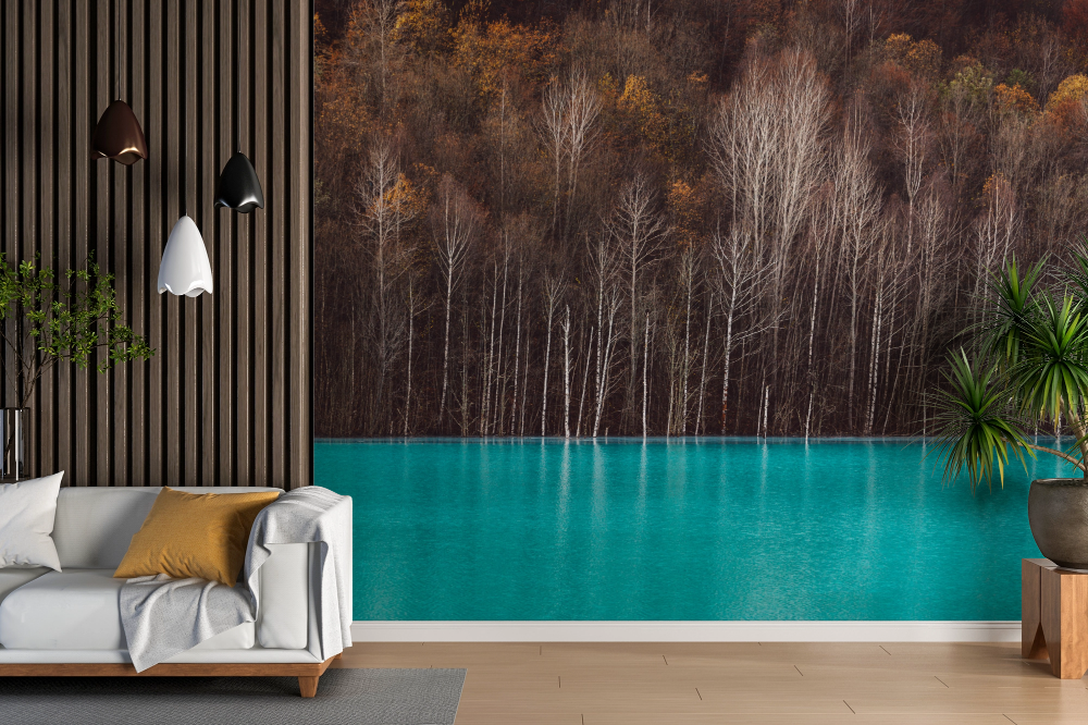 Papier peint forêt - bouleaux au lac turquoise