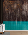 Papier peint forêt - bouleaux au lac turquoise