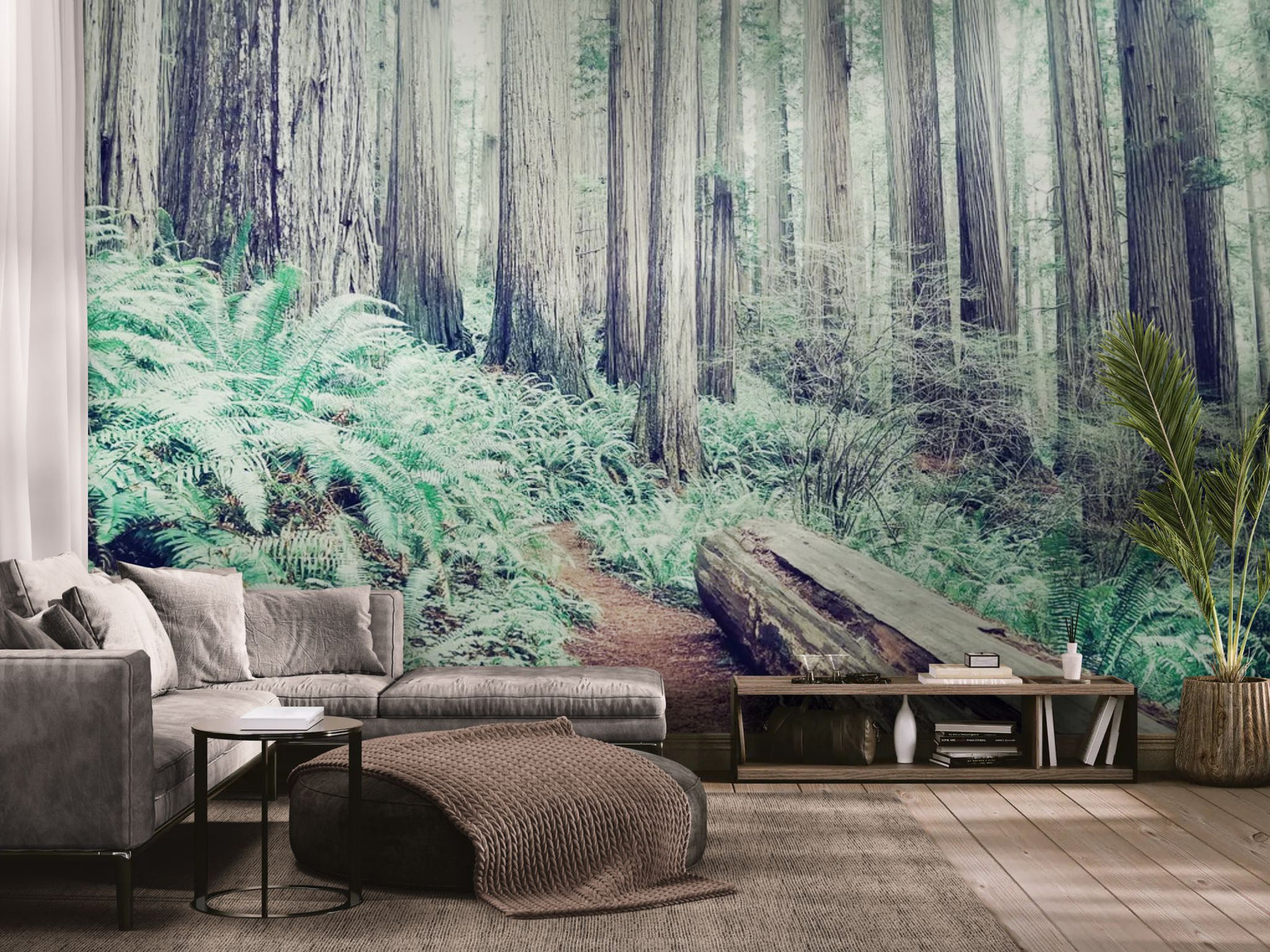 Nature wallpaper – tree stump in the forest