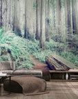 Nature wallpaper – tree stump in the forest