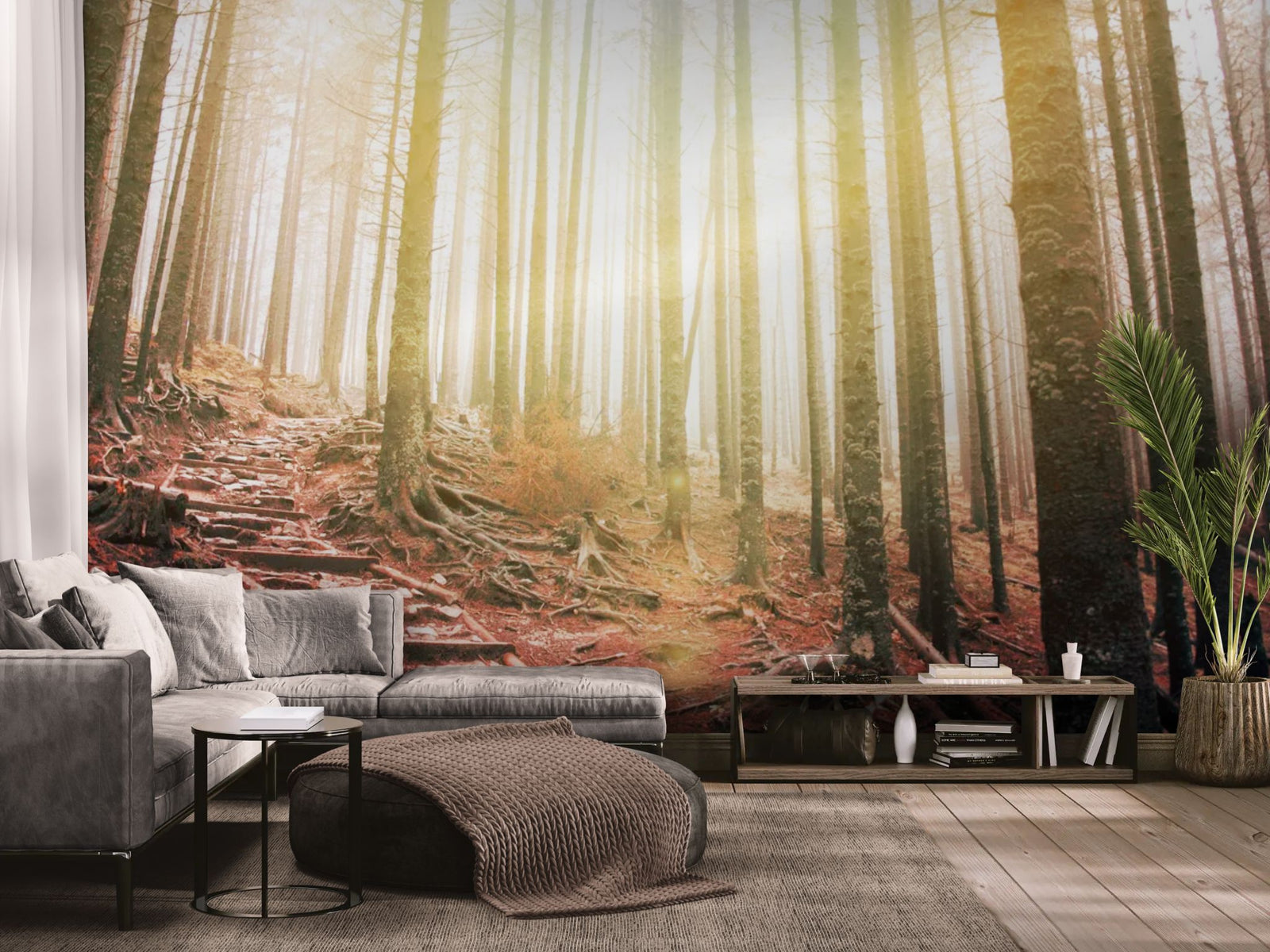 Nature wallpaper – dry trees at sunset