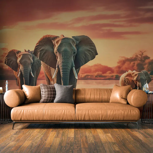 Papier Peint Animaux - Éléphants au coucher du soleil