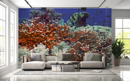 Papier peint nature - barrière de corail multicolore sous l'eau