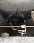 Papier peint animaux - plongeur face à une raie manta en noir et blanc