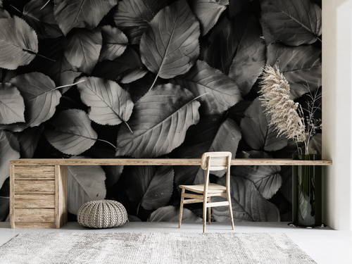 Nature wallpaper - black and white forest leaves