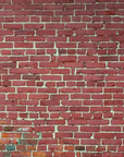 Papier Peint Pierre - Briques Rouges et Joints Gris